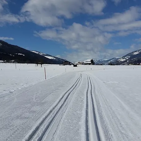 Holiday home Chalet Anna Near Ski Area In Niedernsill