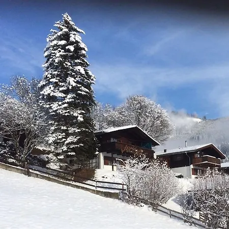Holiday home Chalet Anna Near Ski Area In Niedernsill