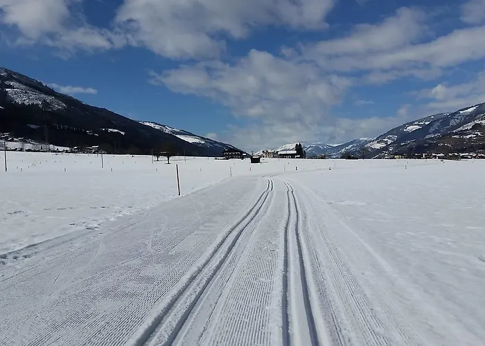 別荘 In Near Zell Am Area