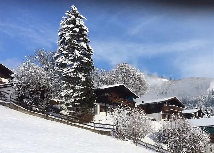 別荘 In Near Zell Am Area