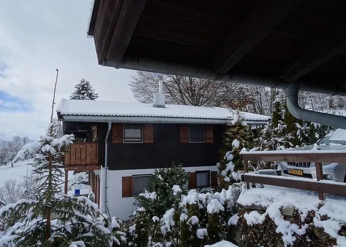 In Near Zell Am Area Ferienhaus Niedernsill